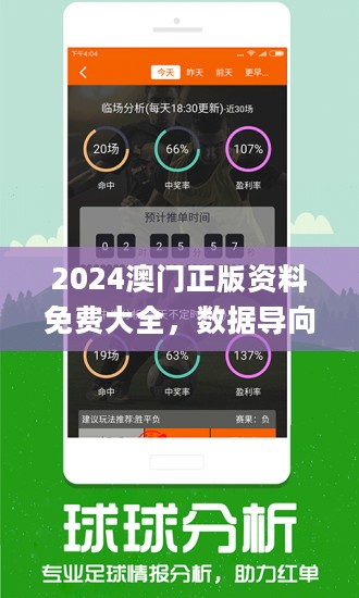 2025澳门正版资料免费查询，精选解析、解释与落实