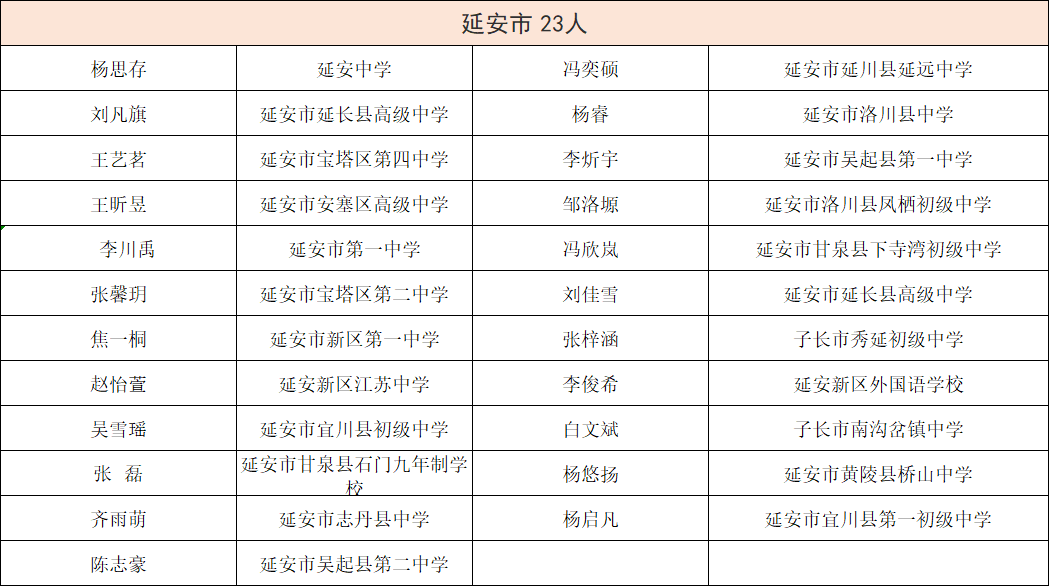 新澳门2025年正版免费公开，详细解答、解释与落实