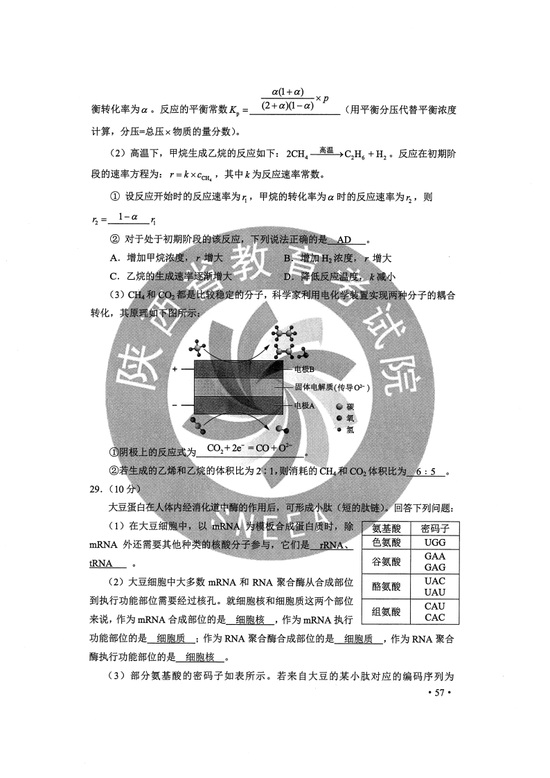 澳门一码一肖一特一中详情，精选解析、解释与落实